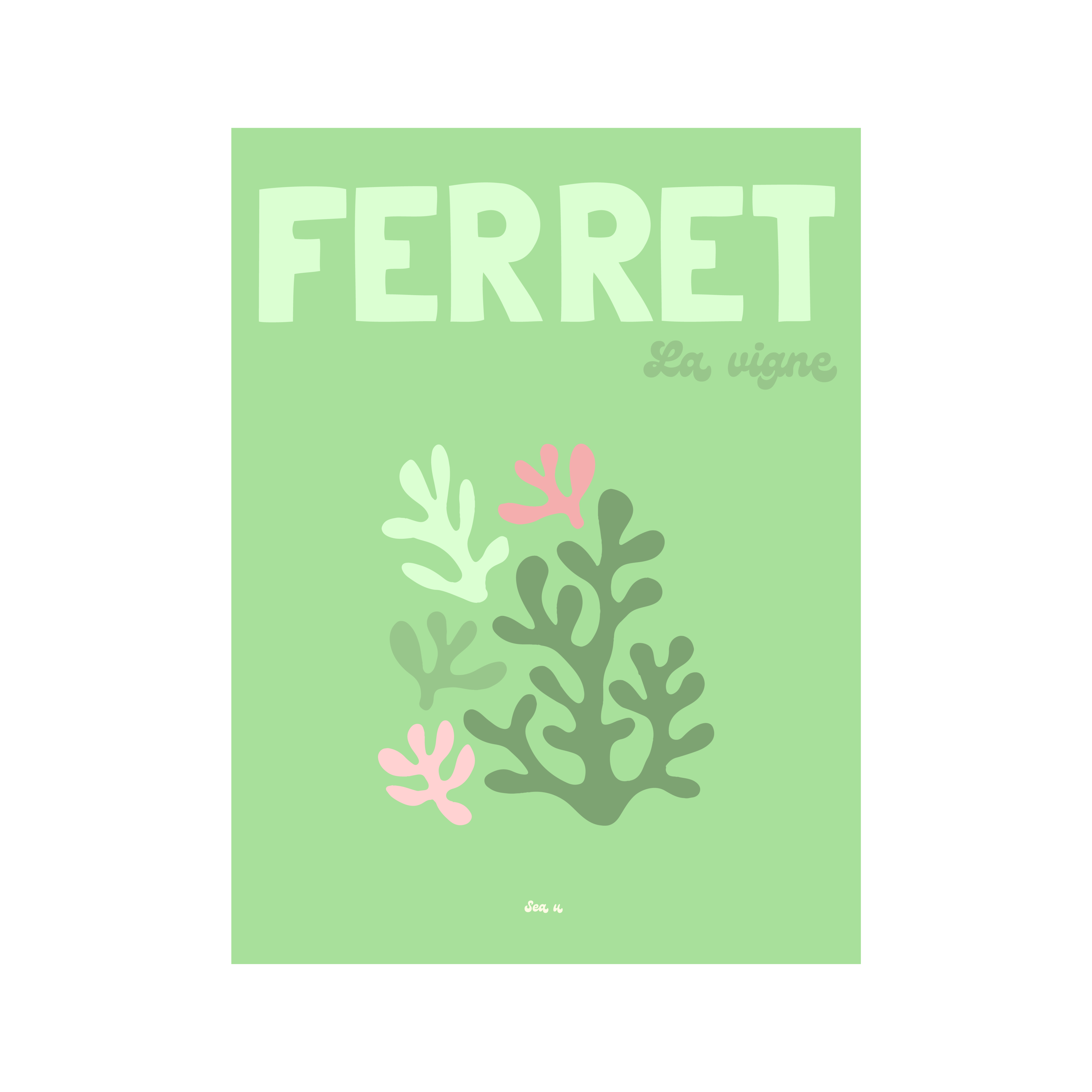 FERRET La Vigne